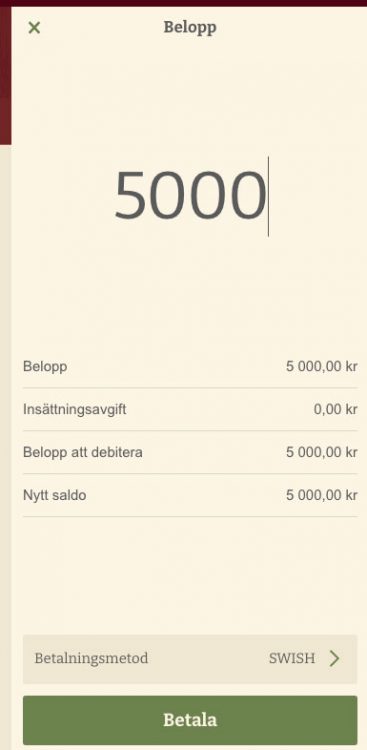 Casinotugan belopp 5000 kr